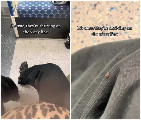 thumbimg