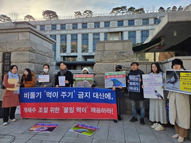 “야생 비둘기 먹이 금지는 동물학대”...